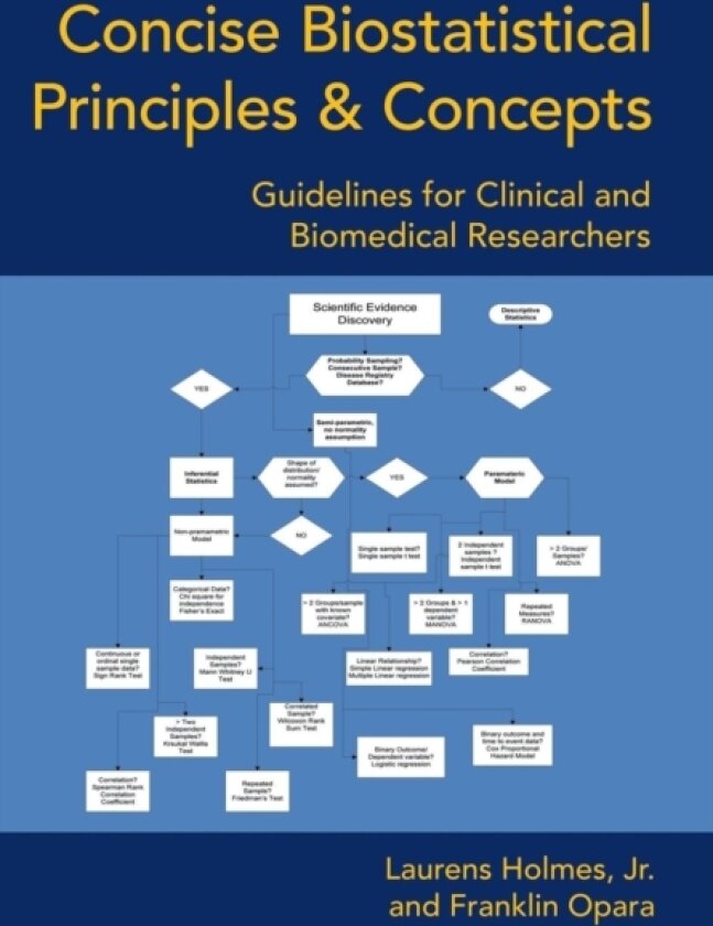 Concise Biostatistical Principles & Concepts av Laurens Holmes Jr, Franklin Opara (Hardcover)