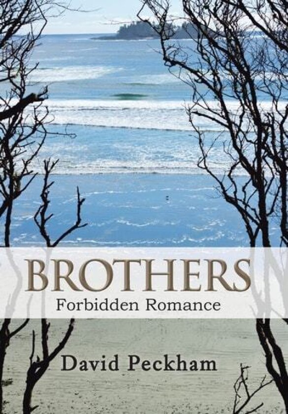 Brothers av David Peckham (Hardcover)