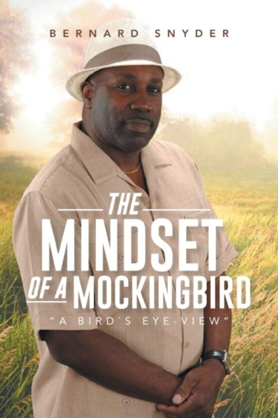 The Mindset of a Mockingbird av Bernard Snyder (Paperback)