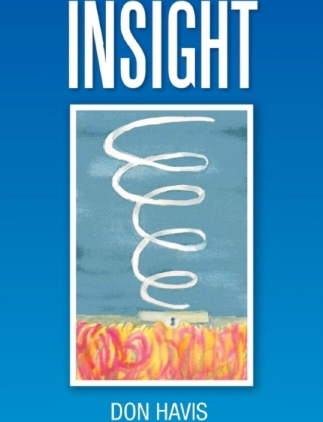 Insight av Don Havis (Paperback)
