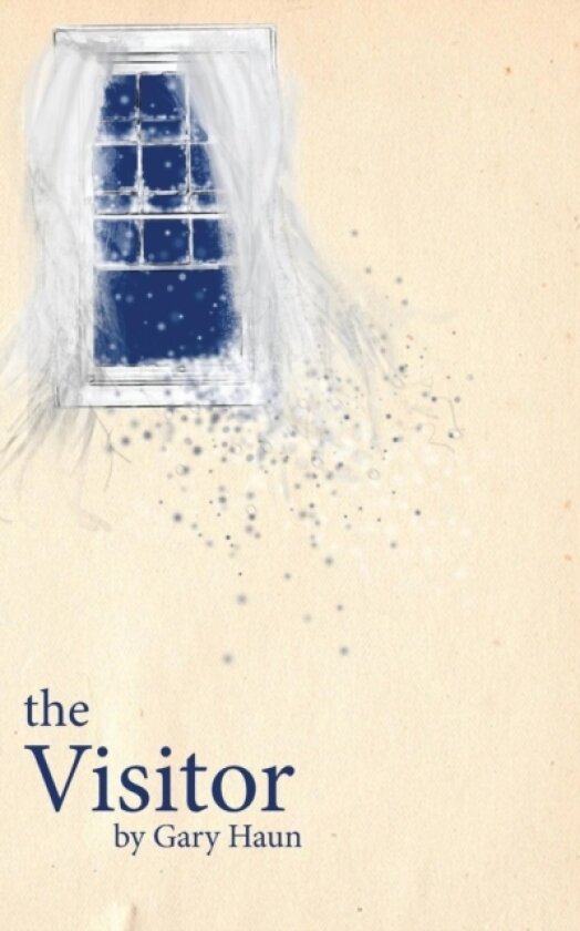 The Visitor av Gary Haun (Hardcover)