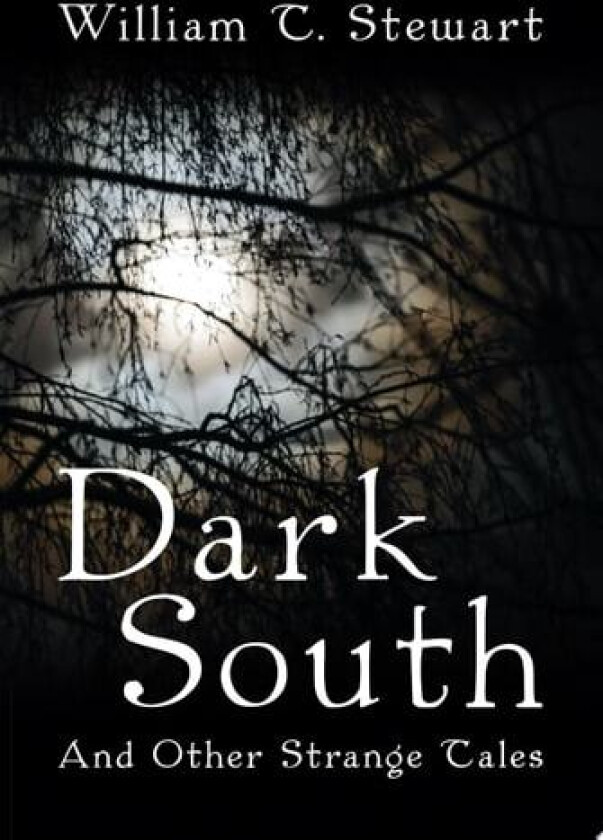 Dark South av William T Stewart (Paperback)