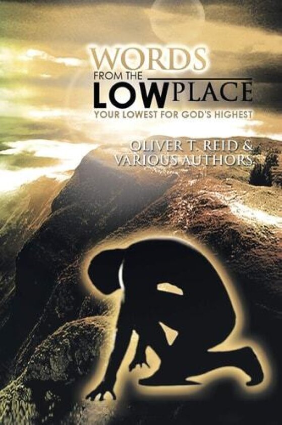 Words From the Low Place: Your Lowest for God's Highest av Oliver T. Reid (Paperback)