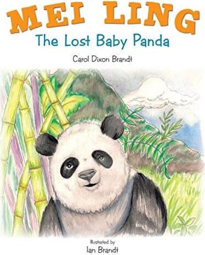 Mei Ling av Carol Dixon Brandt (Paperback)