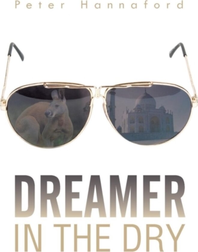 Dreamer in the Dry av Peter Hannaford (Paperback)