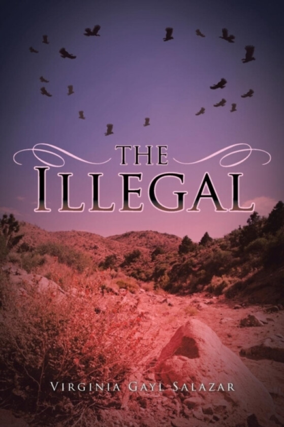 The Illegal av Virginia Gayl Salazar (Paperback)