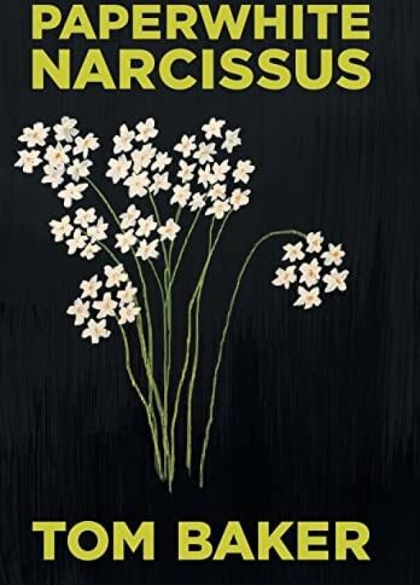 Paperwhite Narcissus av Tom Baker (Hardcover)