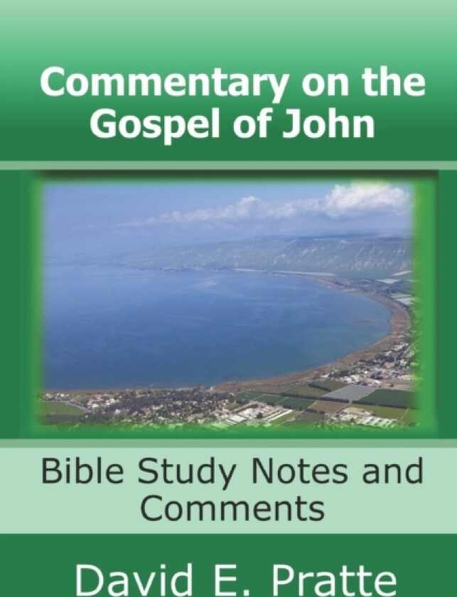 Commentary on the Gospel of John av David E Pratte (Paperback)