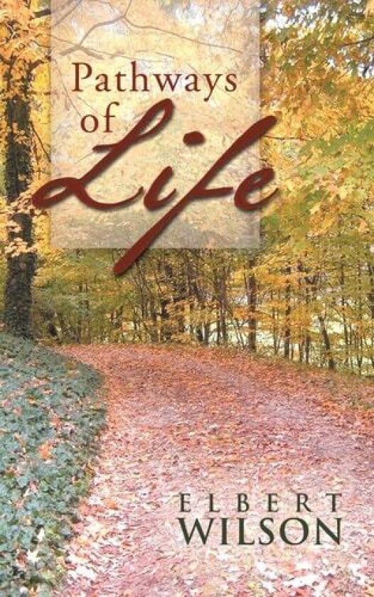 Pathways of Life av Elbert Wilson (Paperback)