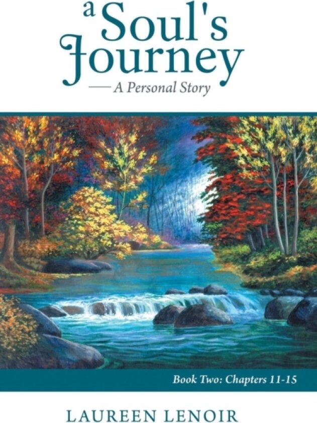 A Soul's Journey av Laureen LeNoir (Hardcover)