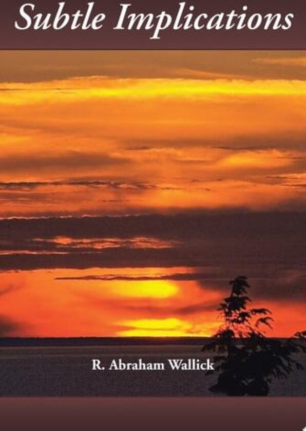 Subtle Implications av R Abraham Wallick (Paperback)