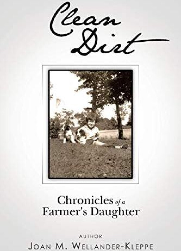 Clean Dirt av Joan M Wellander-Kleppe (Paperback)
