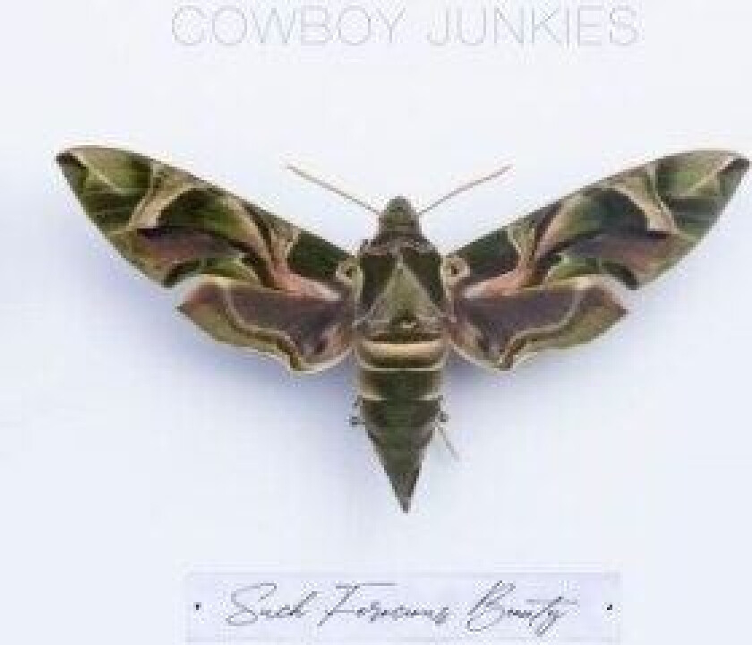 Cowboy Junkies - Such Ferocious Beauty
