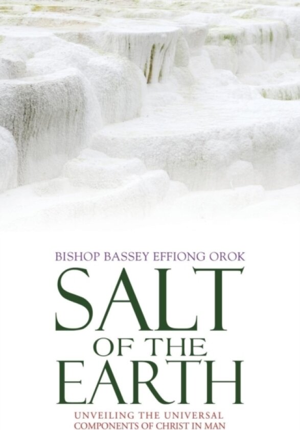 Salt of the Earth av Bishop Bassey Effiong Orok (Paperback)