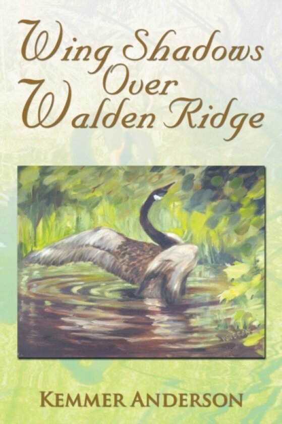 Wing Shadows Over Walden Ridge av Kemmer Anderson (Paperback)