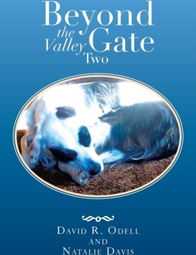 Beyond the Valley Gate Two av David R Odell, Natalie Davis (Paperback)