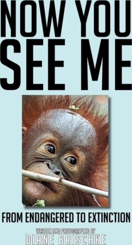 Now You See Me av Diane Brischke (Paperback)