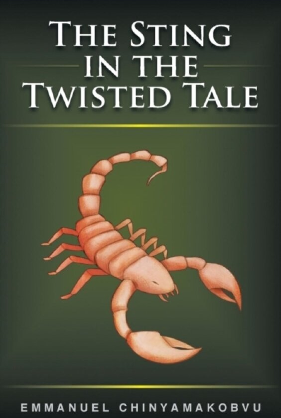 The Sting in the Twisted Tale av Emmanuel Chinyamakobvu (Paperback)