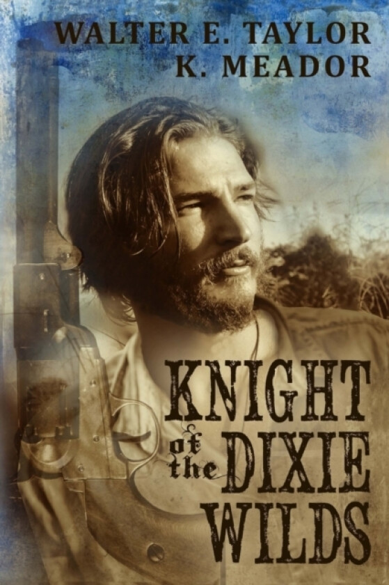The Knight of the Dixie Wilds av Walter E Taylor, K Meador (Paperback)