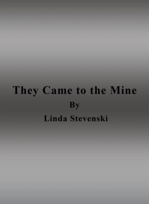 They Came to the Mine av Linda Stevenski (Paperback)