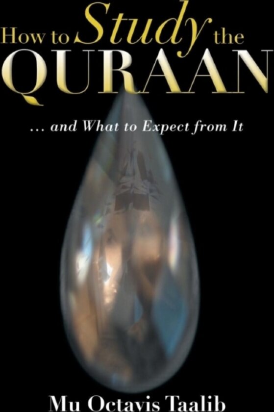 How to Study the Quraan av Mu Octavis Taalib (Paperback)