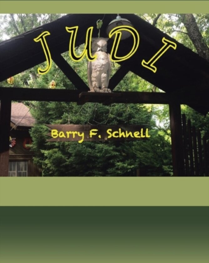 Judi av Barry F Schnell (Hardcover)
