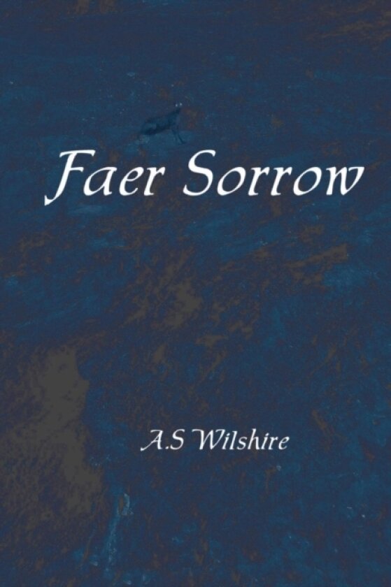 Faer Sorrow av A S Wilshire (Paperback)