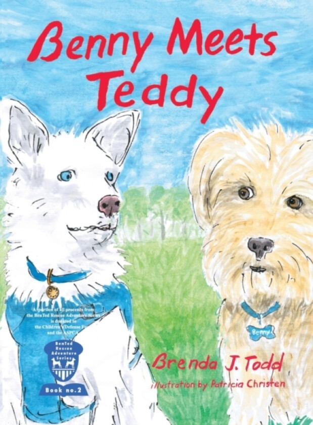 Benny Meets Teddy av Brenda Todd (Hardcover)