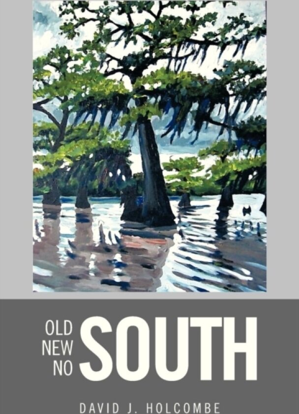 Old South, New South, No South av David J. Holcombe (Paperback)