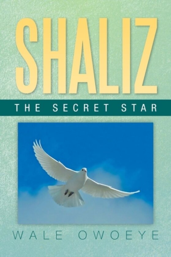 Shaliz - The Secret Star av Wale Owoeye (Paperback)