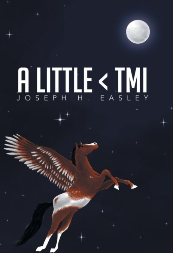 A Little av Joseph H Easley (Hardcover)