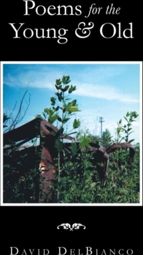 Poems for the Young & Old av David Delbianco (Paperback)