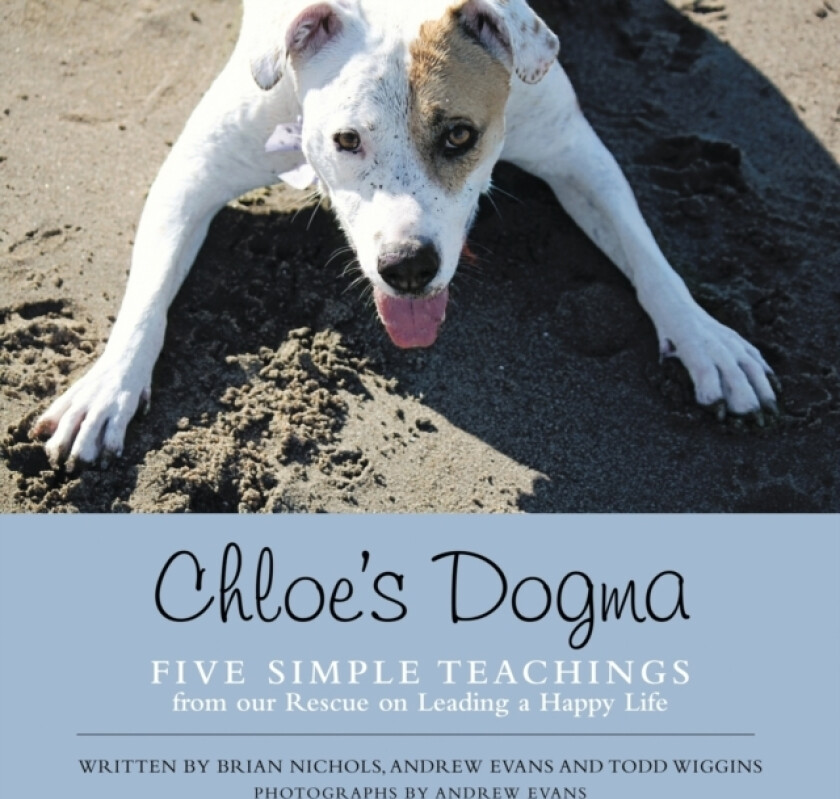 Chloe's Dogma av Brian Nichols, Todd Wiggins, Reader in European Studies Andrew Evans (Paperback)