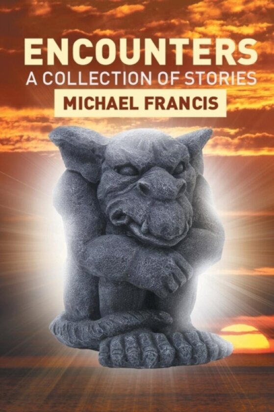 Encounters av Michael Francis (Paperback)