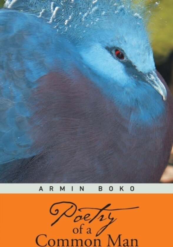 Poetry of A Common Man av Armin Boko (Paperback)