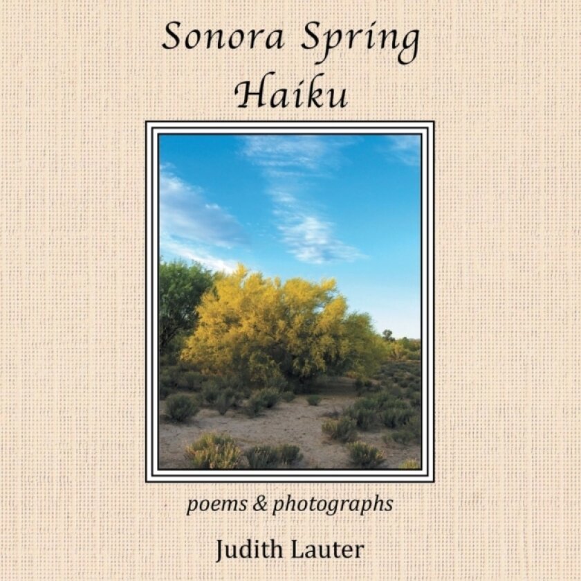Sonora Spring Haiku av Judith Lauter (Paperback)
