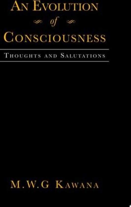 An Evolution of Consciousness av M W G Kawana (Paperback)