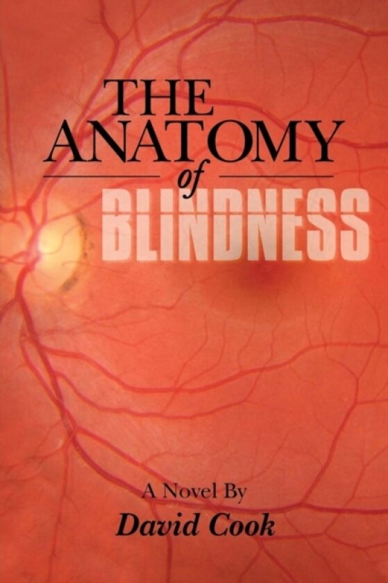 THE Anatomy of Blindness av David Cook (Paperback)