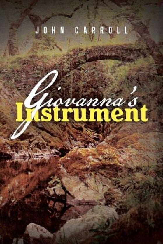 Giovanna's Instrument av John Carroll (Paperback)