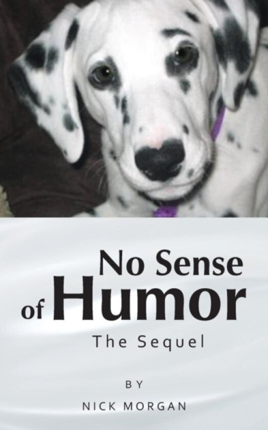 No Sense of Humor av Nick Morgan (Paperback)