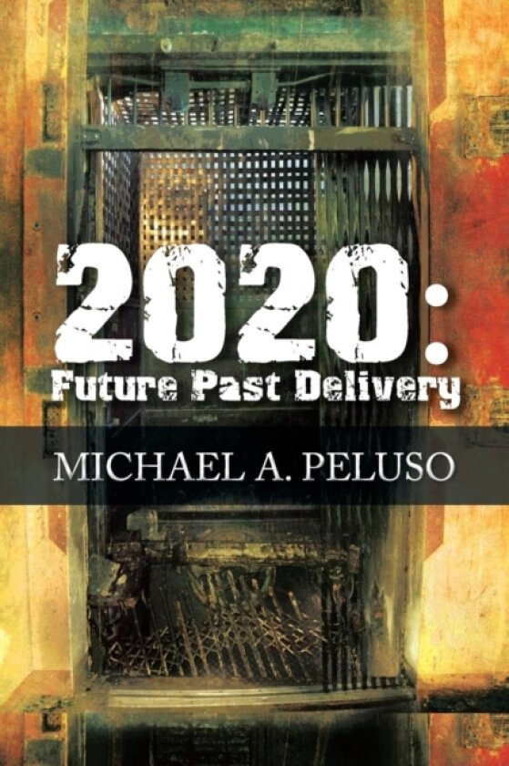 2020 av Michael A Peluso (Paperback)