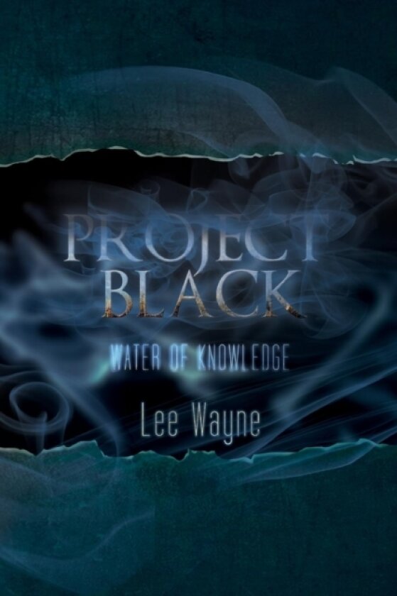 Project Black av Lee Wayne (Paperback)