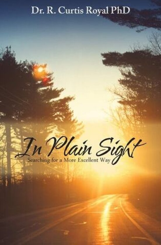 In Plain Sight av Dr.R.Curtis Royal PhD (Hardcover)