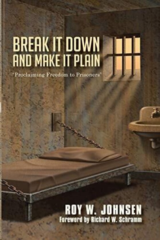 Break It Down and Make It Plain av Roy W. Johnsen (Paperback)