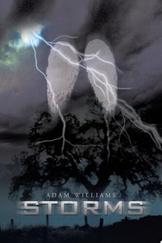Storms av Adam Williams (Paperback)