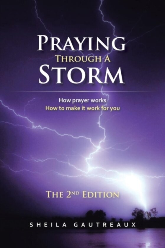 Praying Through A Storm av Sheila Gautreaux (Paperback)