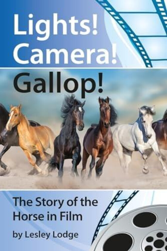 Lights! Camera! Gallop! av Lesley Lodge (Paperback)