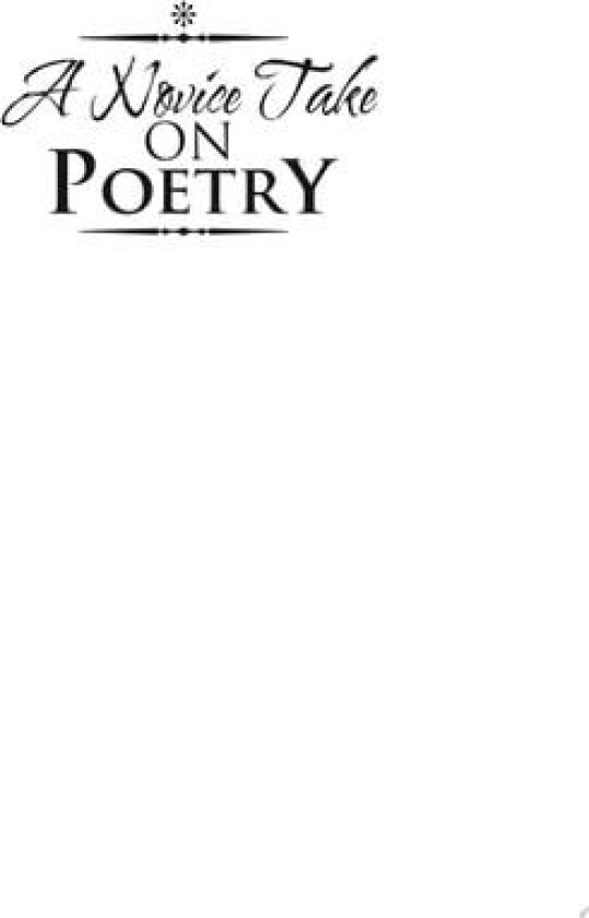 A Novice Take on Poetry av D Forest Booth (Paperback)