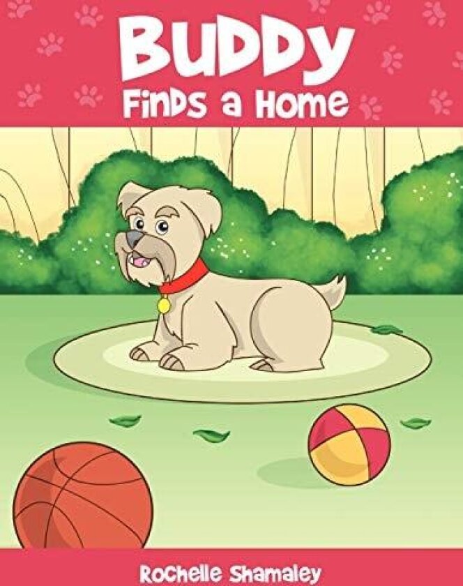 Buddy Finds a Home av Rochelle Shamaley (Paperback)