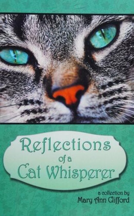 Reflections of a Cat Whisperer av Mary Ann Clifford (Paperback)